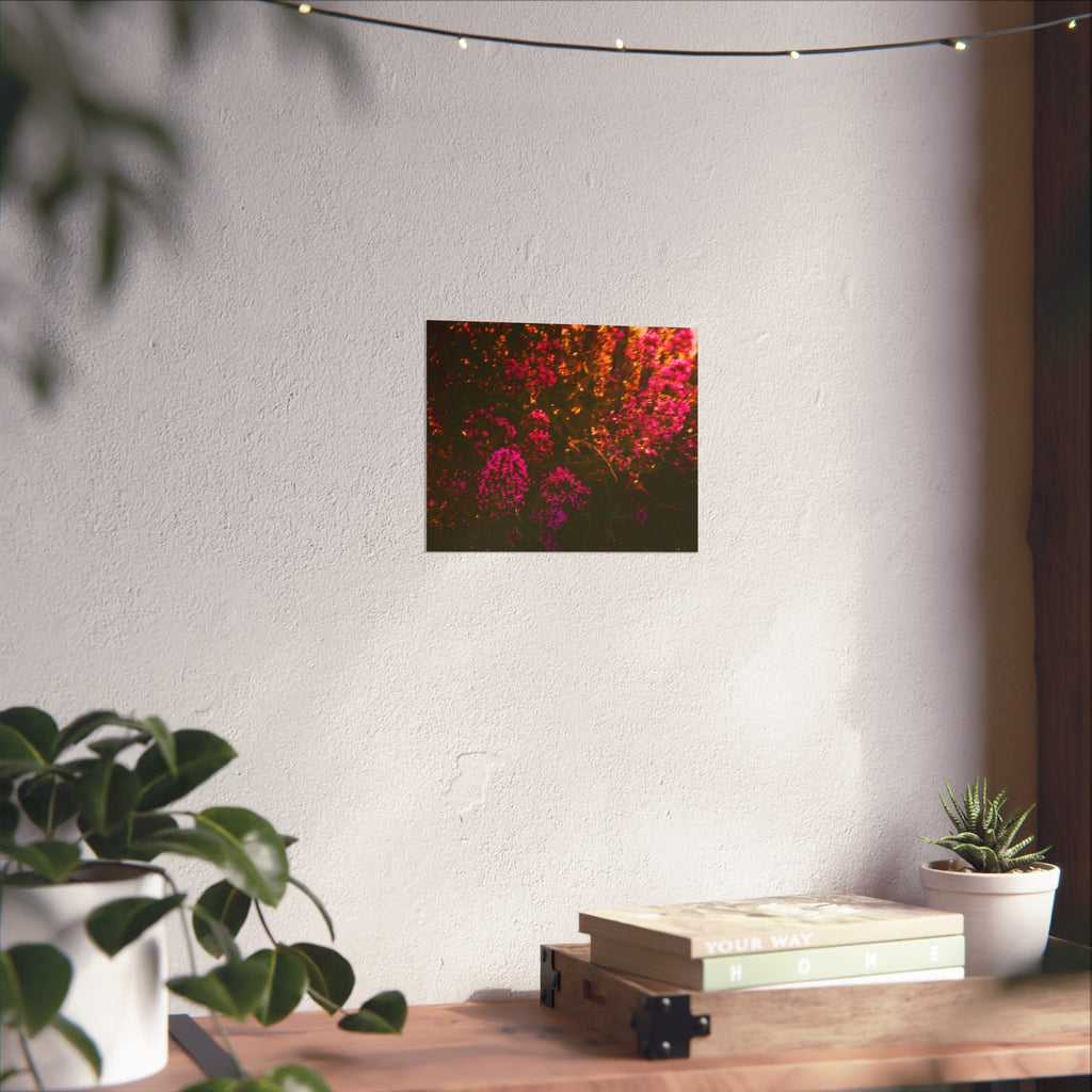 Kunstdruck — Stimmungsbild Pink Wildblumen Fotografie