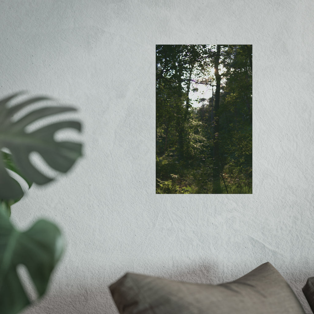 Forest Light Fine Art Poster — Sunlit Woodland Photography Wall Art