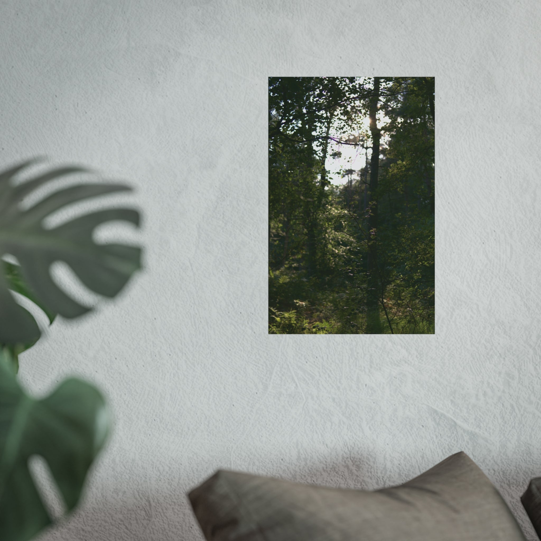 Waldlicht Kunstdruck-Poster — Wandkunst mit Sonnenbeschienener Waldlandschaft