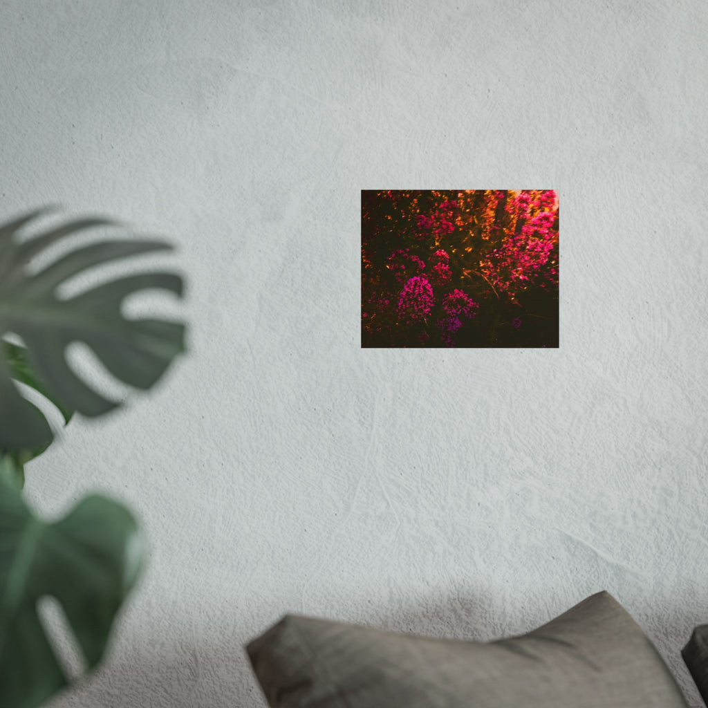 Kunstdruck — Stimmungsbild Pink Wildblumen Fotografie