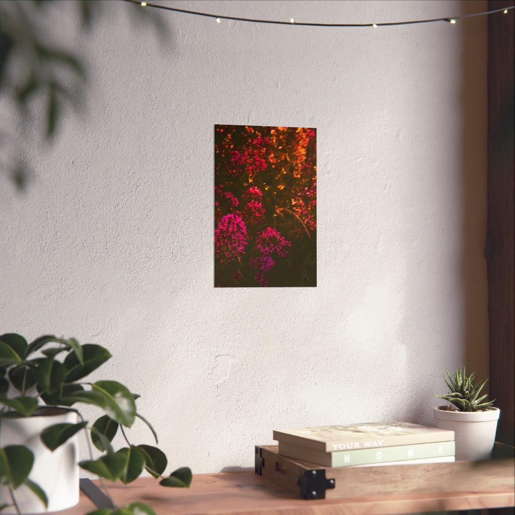 Kunstdruck — Stimmungsbild Pink Wildblumen Fotografie