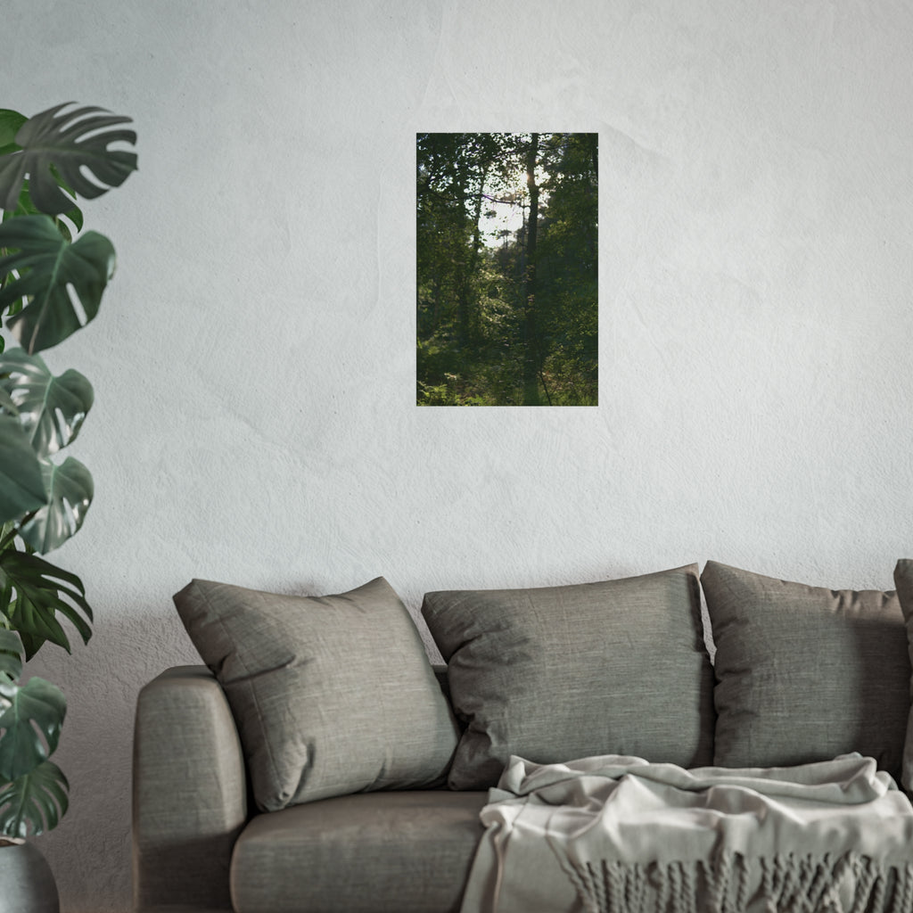 Forest Light Fine Art Poster — Sunlit Woodland Photography Wall Art