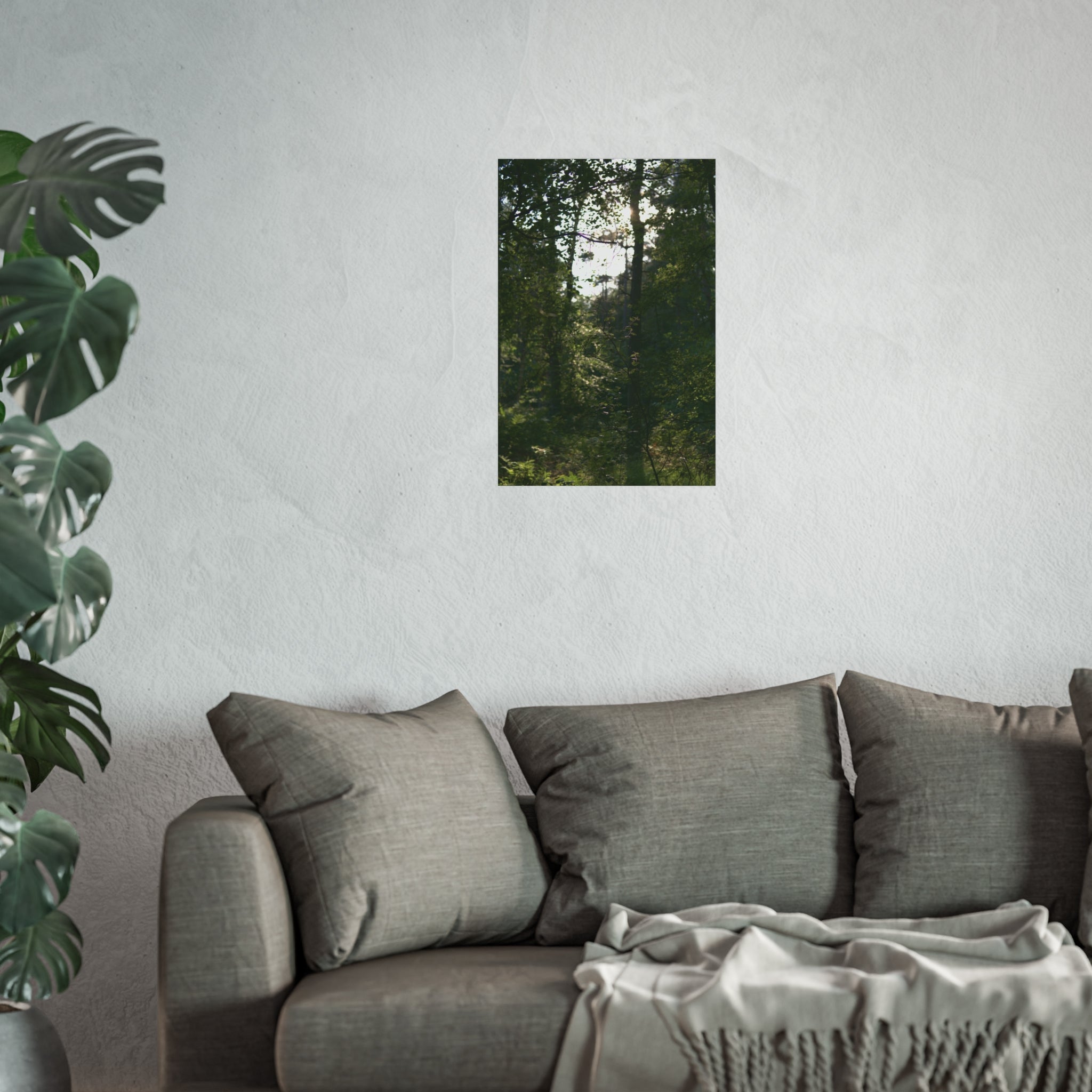 Forest Light Fine Art Poster — Sunlit Woodland Photography Wall Art