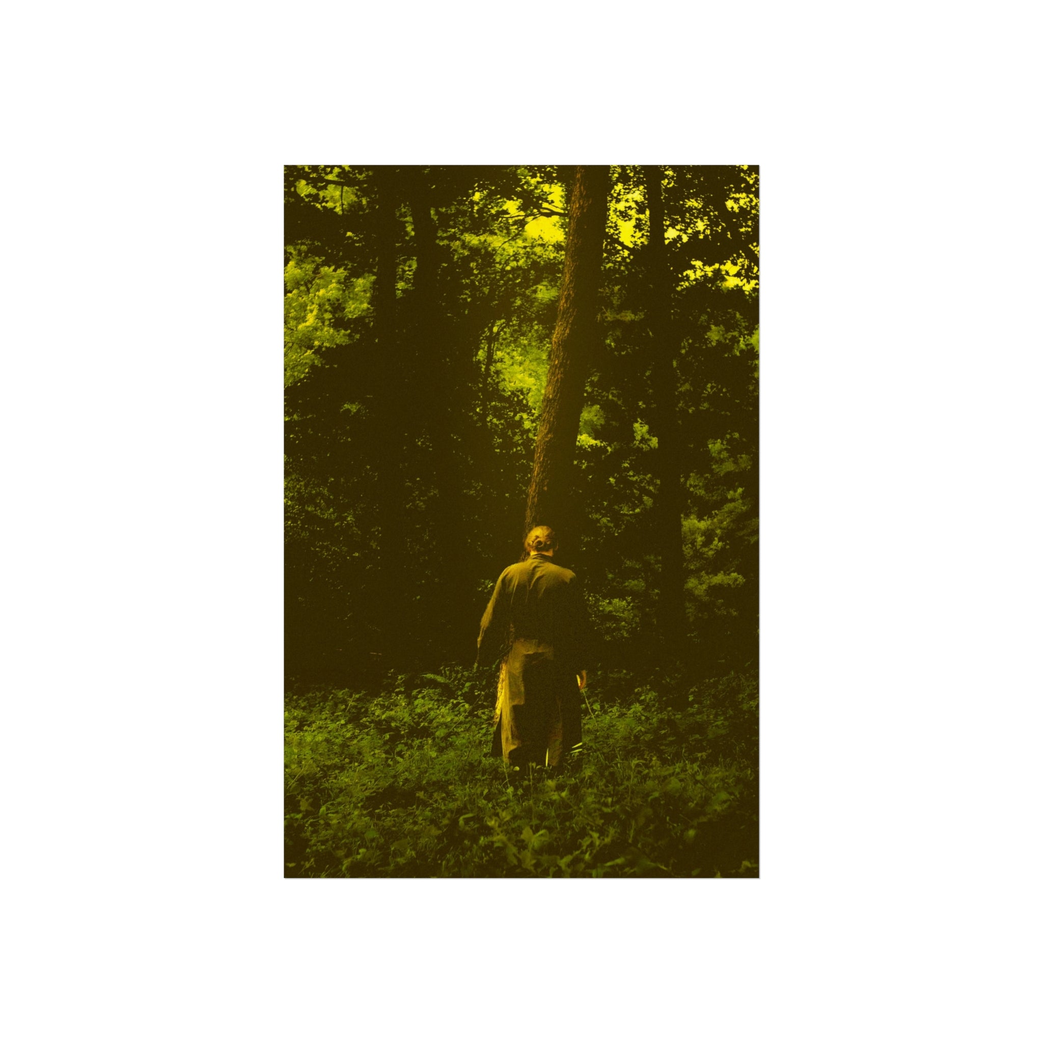 Fine Art Poster — Solitary Figure in Sunlit Forest, Moody Green Photography Print