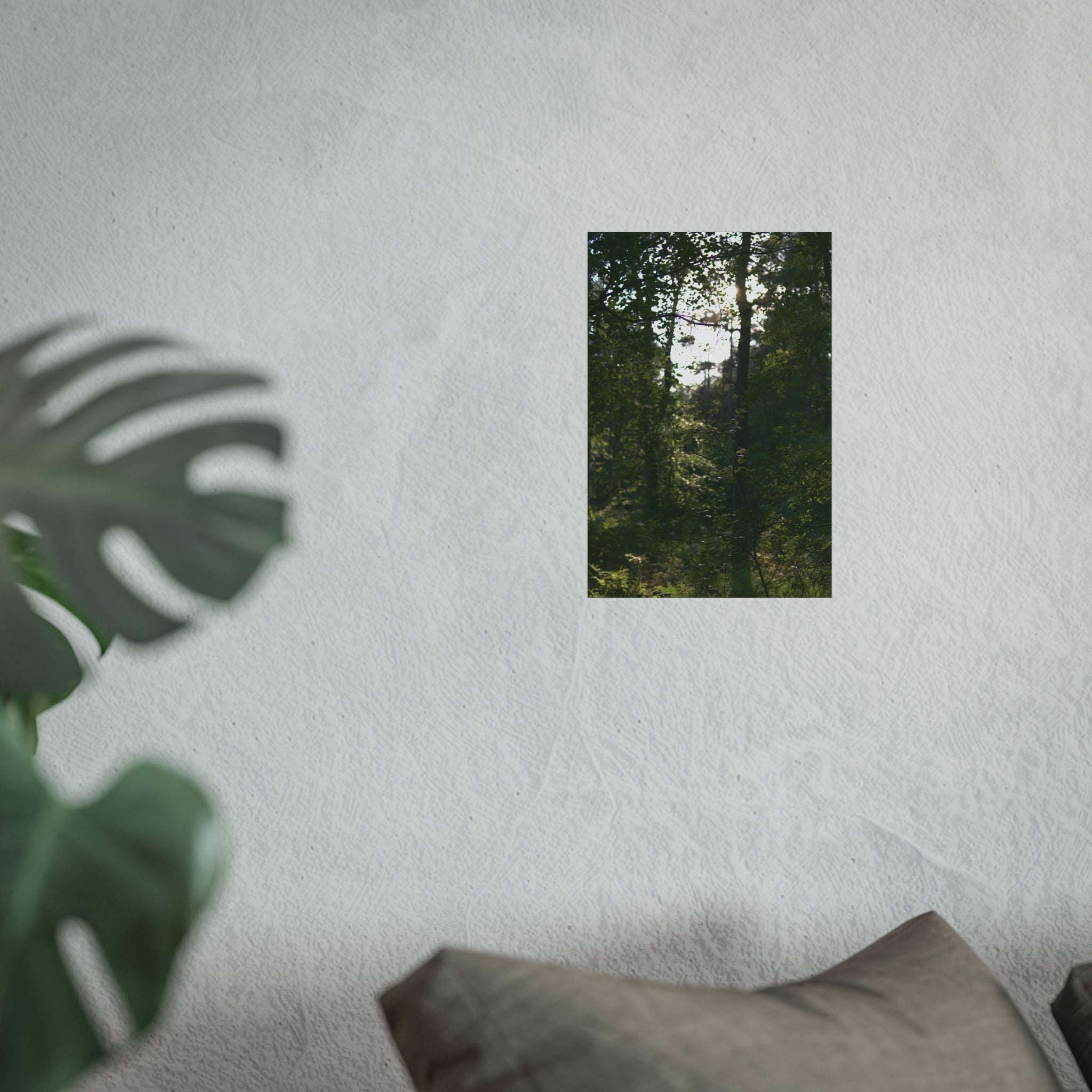 Waldlicht Kunstdruck-Poster — Wandkunst mit Sonnenbeschienener Waldlandschaft