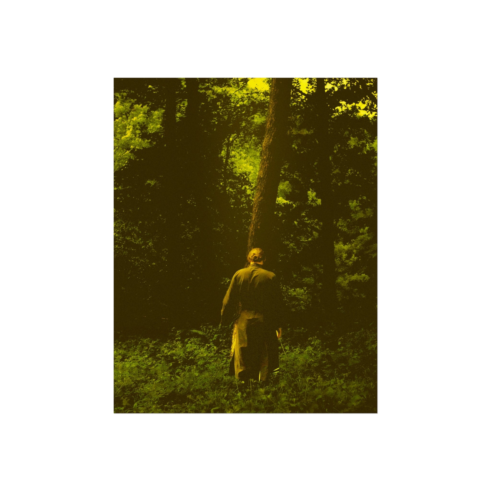 Kunstdruck-Poster — Einsame Gestalt in sonnenbeschienenem Wald, stimmungsvoller Grünstich-Fotodruck