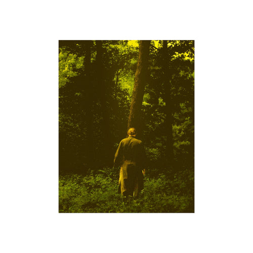 Fine Art Poster — Solitary Figure in Sunlit Forest, Moody Green Photography Print