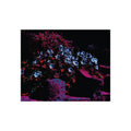 Neon Florale Nachtlandschaft Kunstdruck — Abstraktes Neon-Pflanzen Wandbild