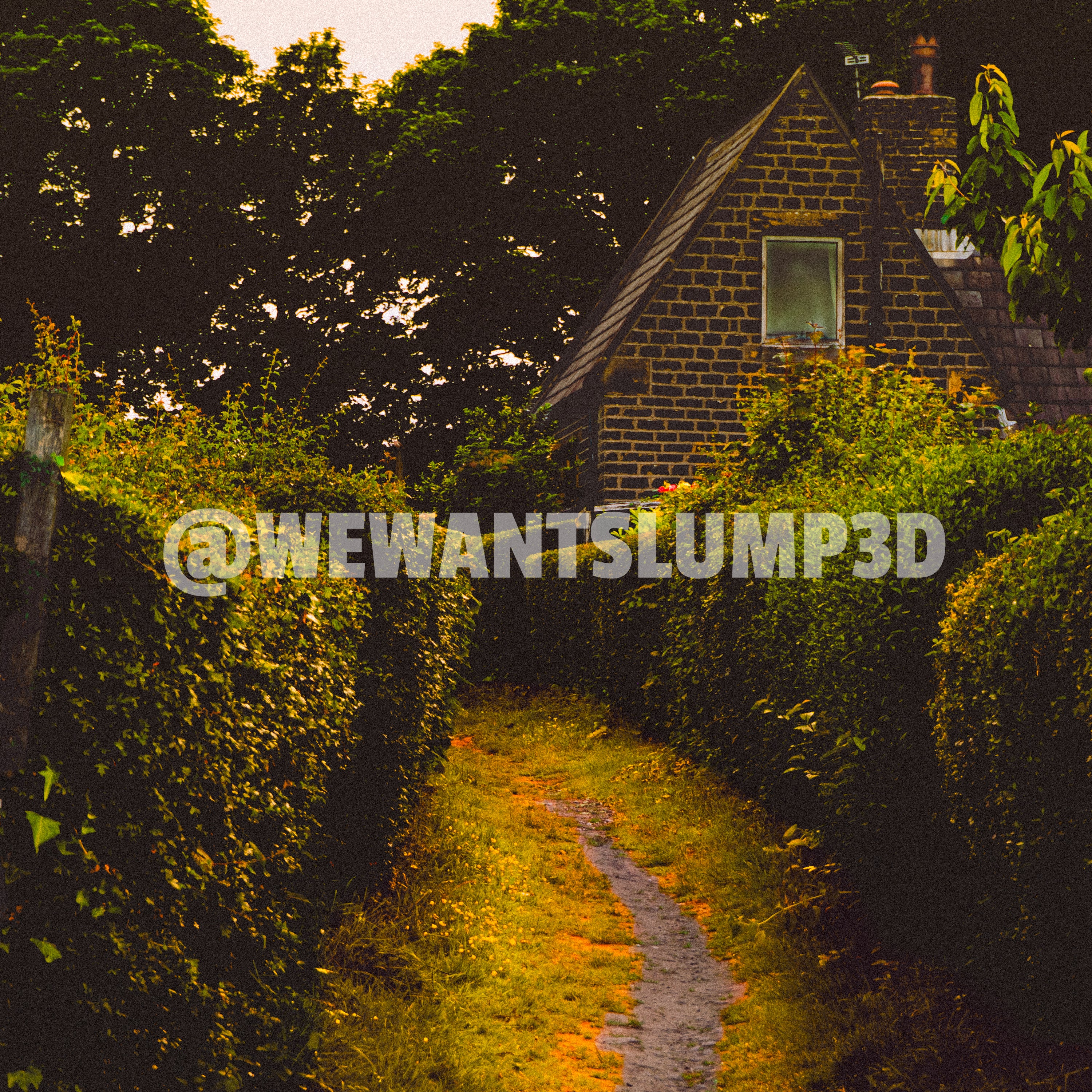 Sentier de jardin au chalet | Photographie d'art de campagne