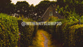 Garden Path To Cottage | Fine Art Countryside Photography