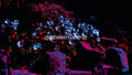 Fleurs fluo sur escaliers de pierre | Photographie abstraite d'art