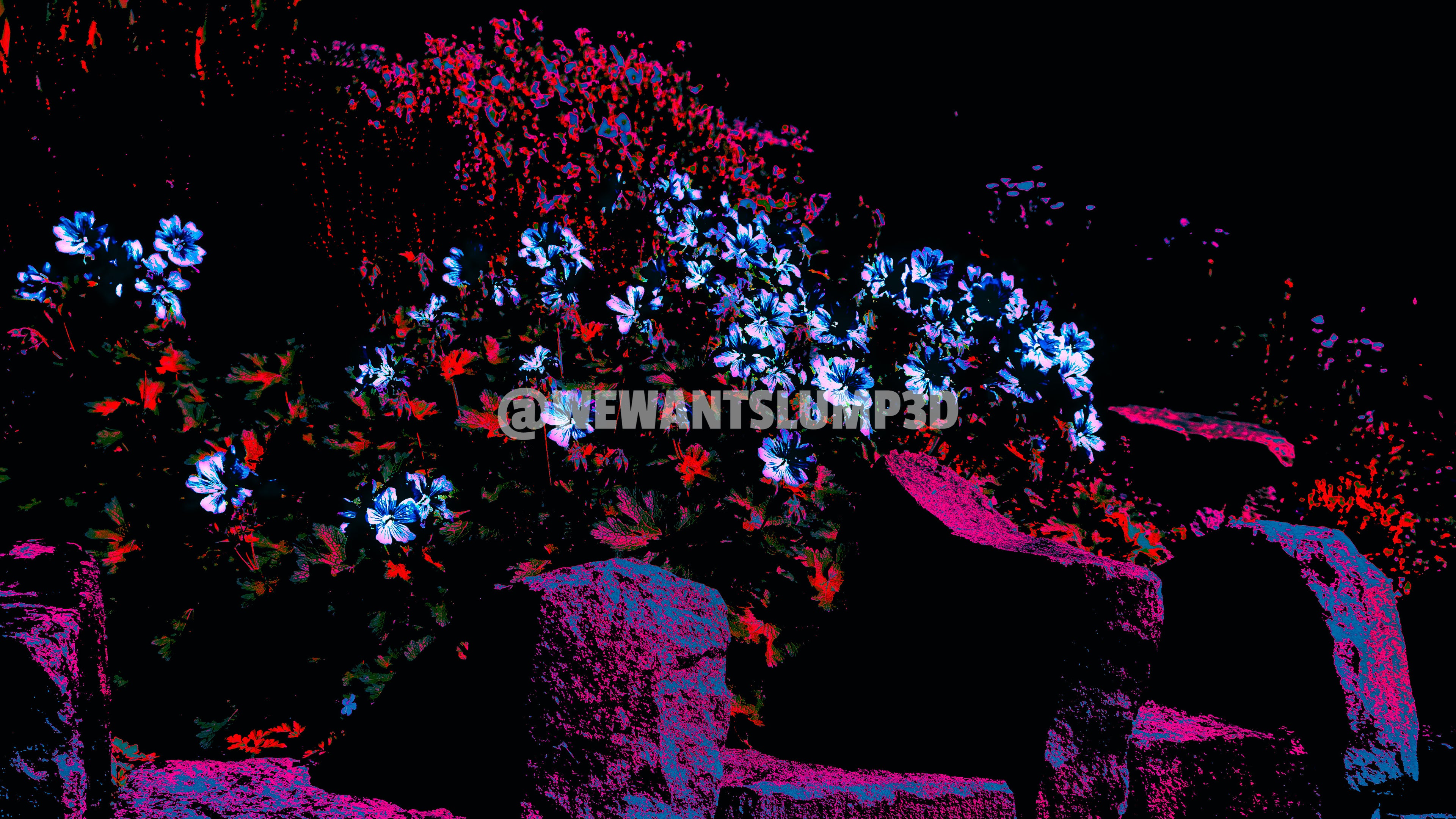 Fleurs fluo sur escaliers de pierre | Photographie abstraite d'art