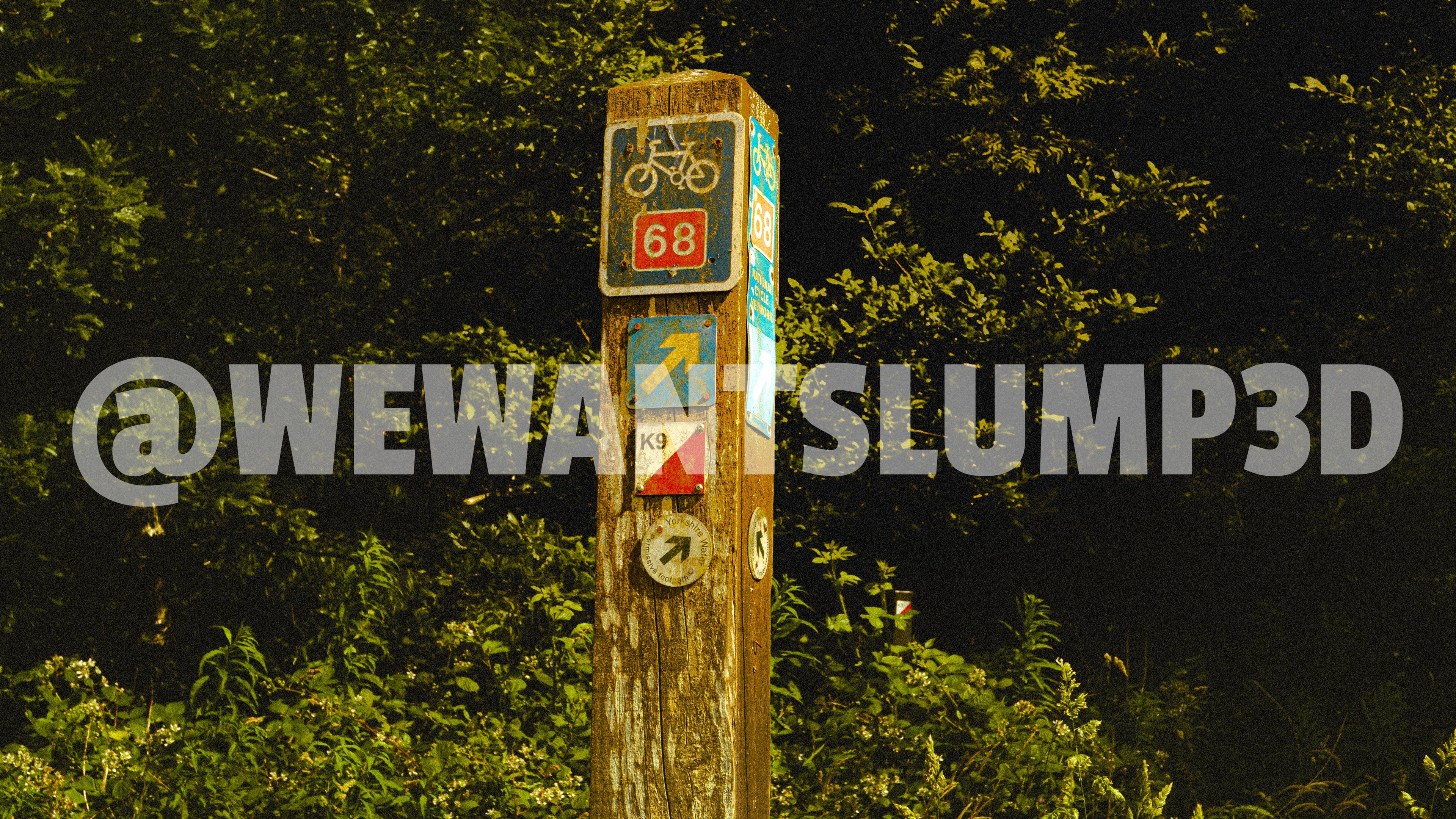 Wooden Trail Waymarker | Fine Art Countryside Photography