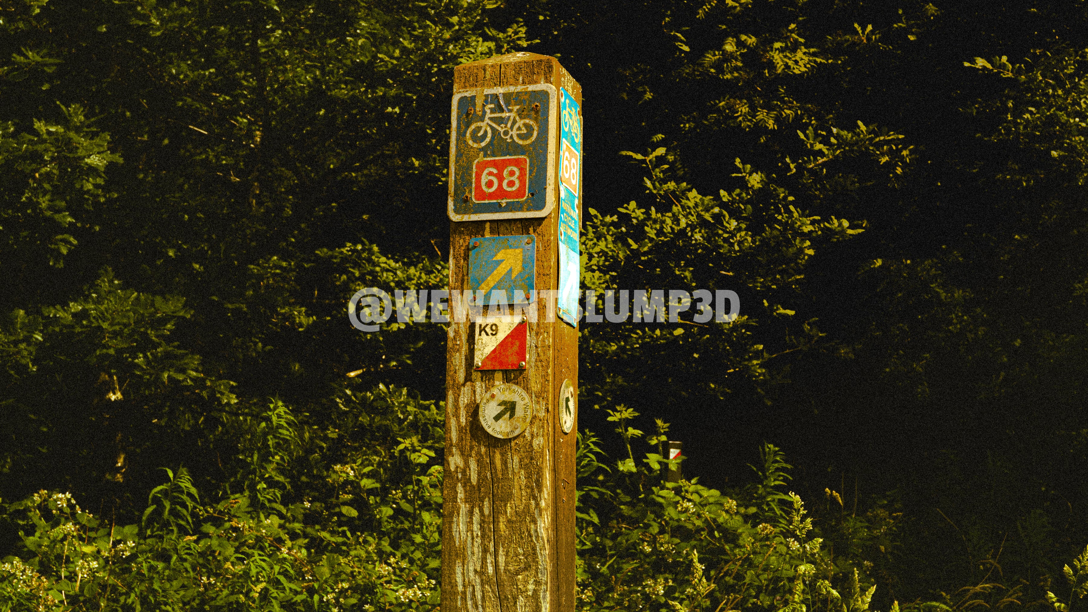 Balisage de sentier en bois | Photographie artistique de campagne